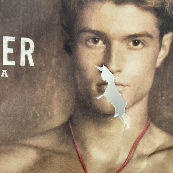 2012 Hollister Male Model Swimsuit Shopping Bags Set of 2 - Picture 6 of 12